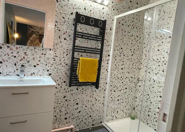 Les Marronniers Виши